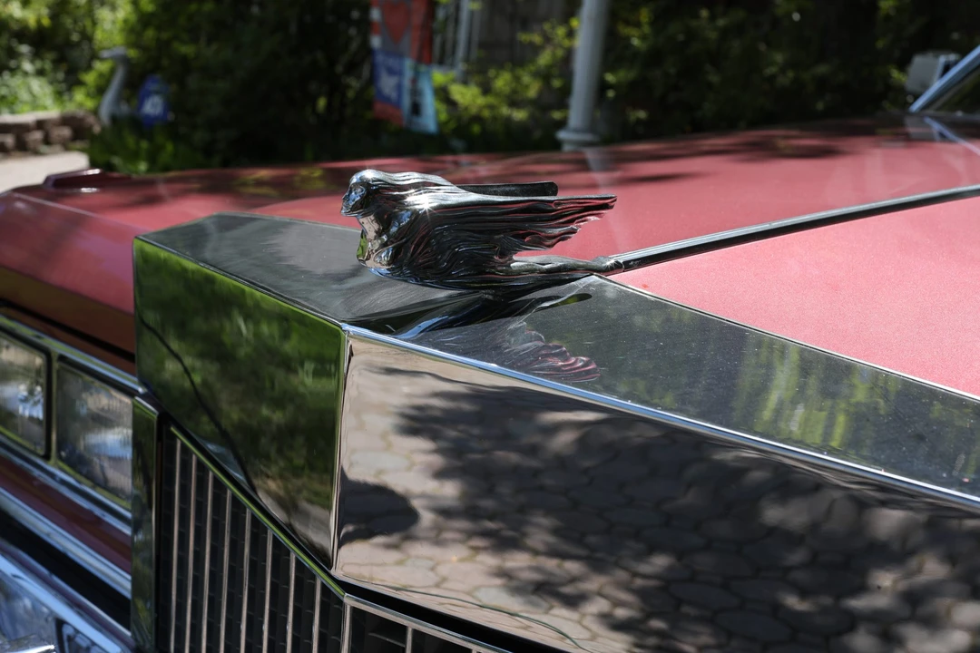 1975 Cadillac DeVille 4th Gen - Image 16 of 31