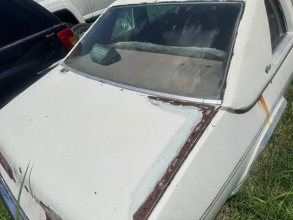 1975 Chevrolet Nova 4th Gen - Image 5 of 9