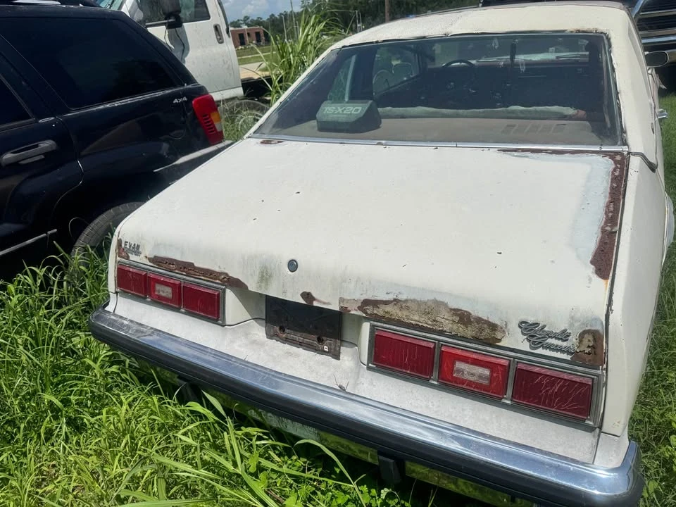 1975 Chevrolet Nova 4th Gen - Image 4 of 9