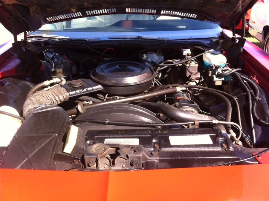 1975 Chevrolet Caprice - Image 11 of 11