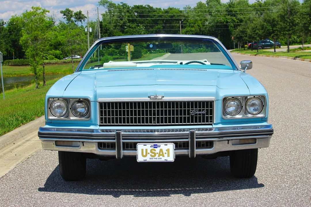 1975 Chevrolet Caprice - Image 10 of 31