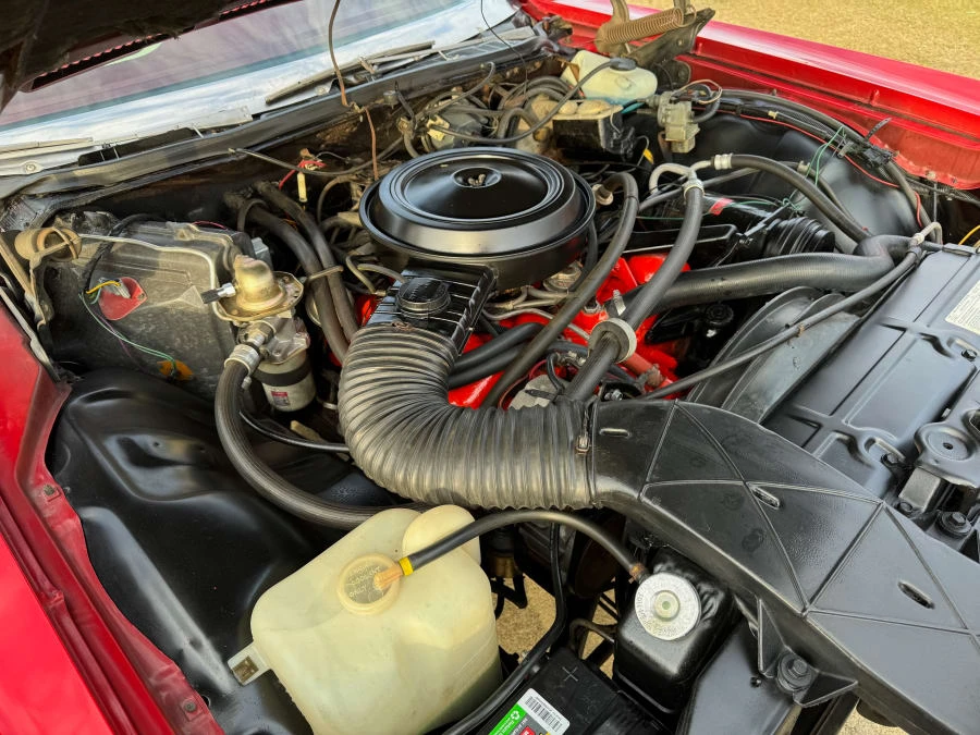 1975 Chevrolet Caprice - Image 10 of 10