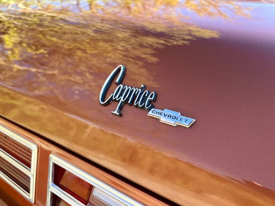 1975 Chevrolet Caprice - Image 23 of 31