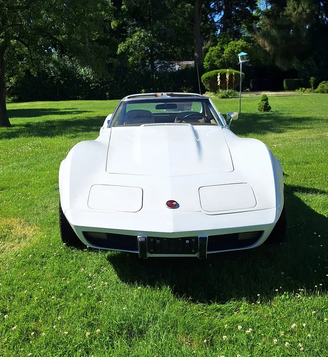 1975 Chevrolet Corvette C3 - Image 14 of 31