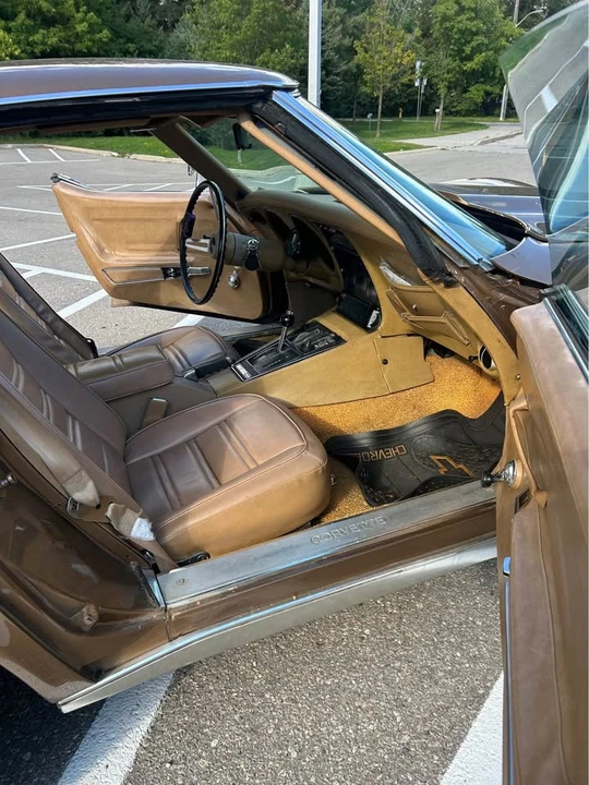1975 Chevrolet Corvette C3 - Image 8 of 15