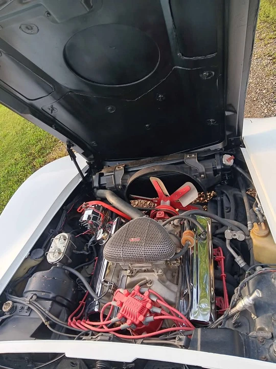 1975 Chevrolet Corvette C3 - Image 11 of 17