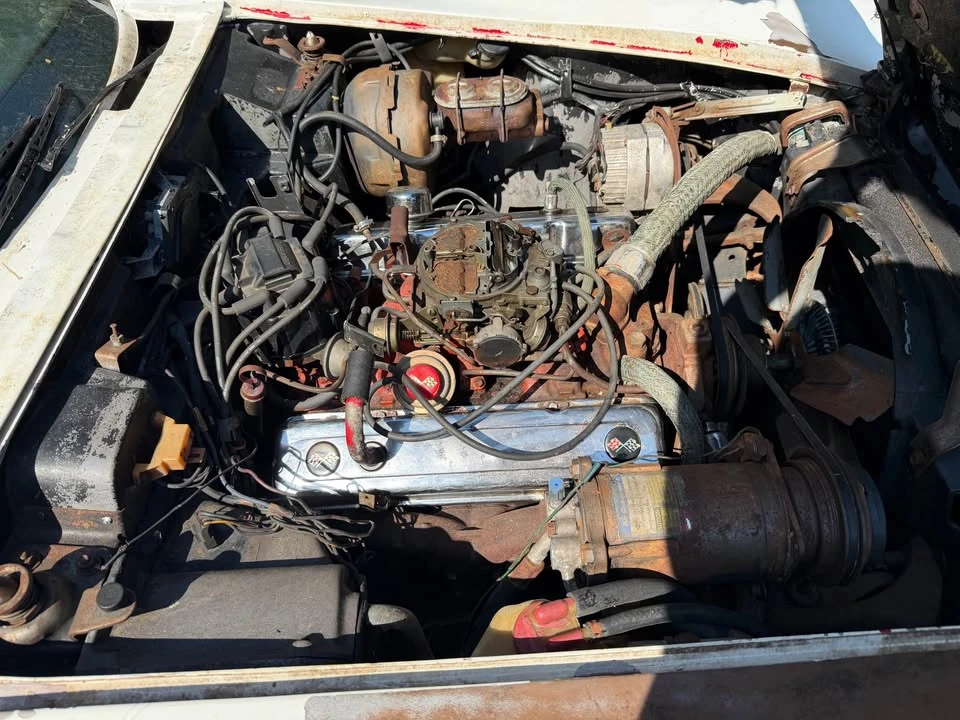 1975 Chevrolet Corvette C3 - Image 2 of 9