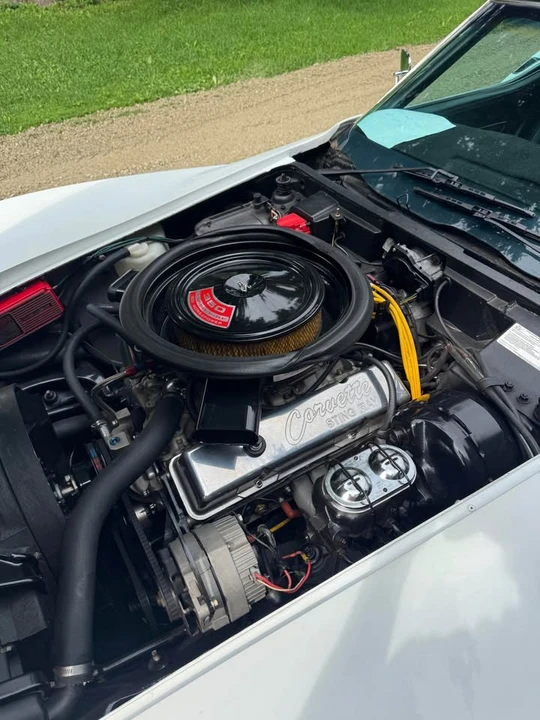 1975 Chevrolet Corvette C3 - Image 5 of 10