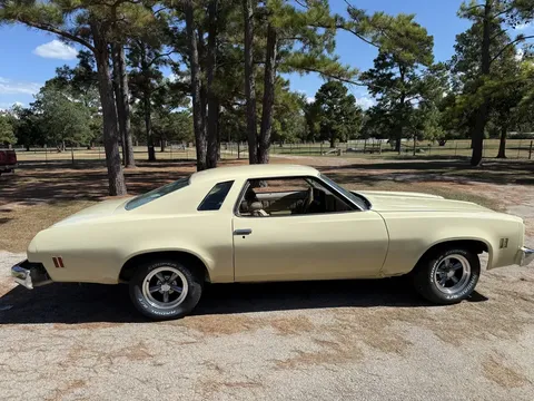 1975 Chevrolet Malibu