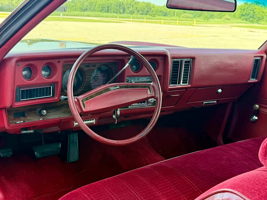 1975 Chevrolet Monte Carlo 2nd Gen - Image 23 of 28