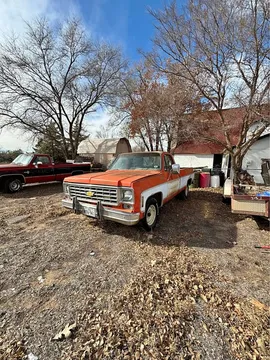 1975 Chevrolet C10