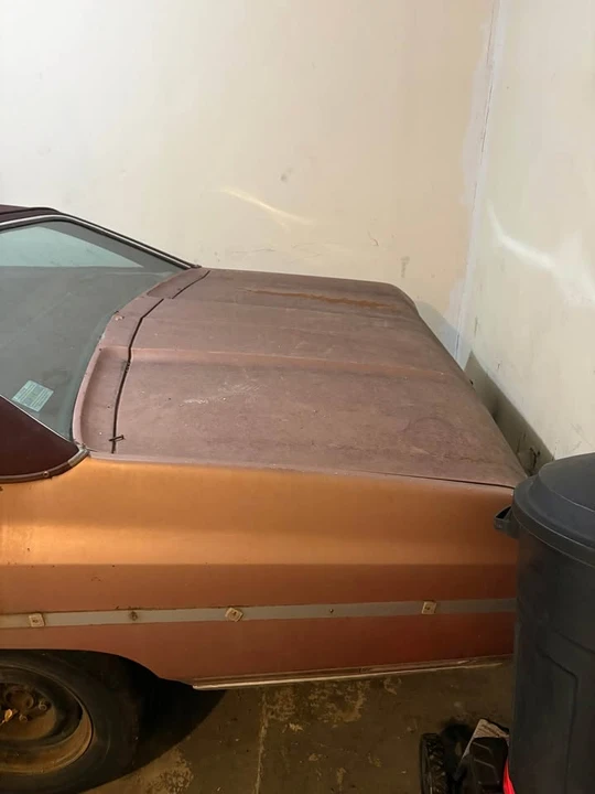 1975 Chevrolet Caprice - Image 4 of 7