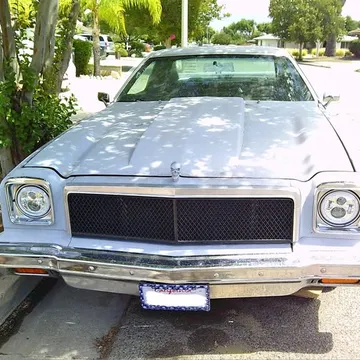 1975 Chevrolet Chevelle Malibu
