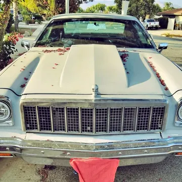 1975 Chevrolet Chevelle Malibu