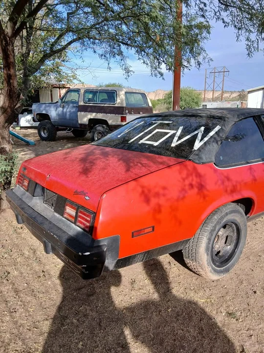 1975 Chevrolet Nova 4th Gen - Image 5 of 5