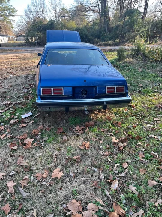 1975 Chevrolet Nova 4th Gen - Image 4 of 5