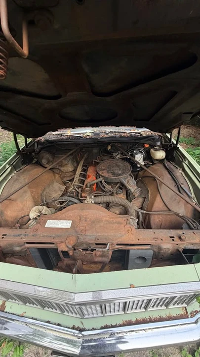 1975 Chevrolet Chevelle 3rd Gen - Image 3 of 8