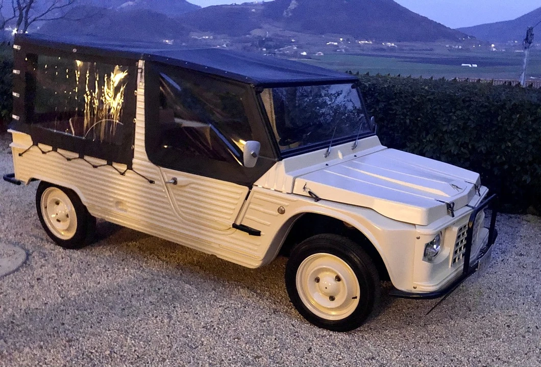 1975 Citroen Mehari - Image 4 of 30