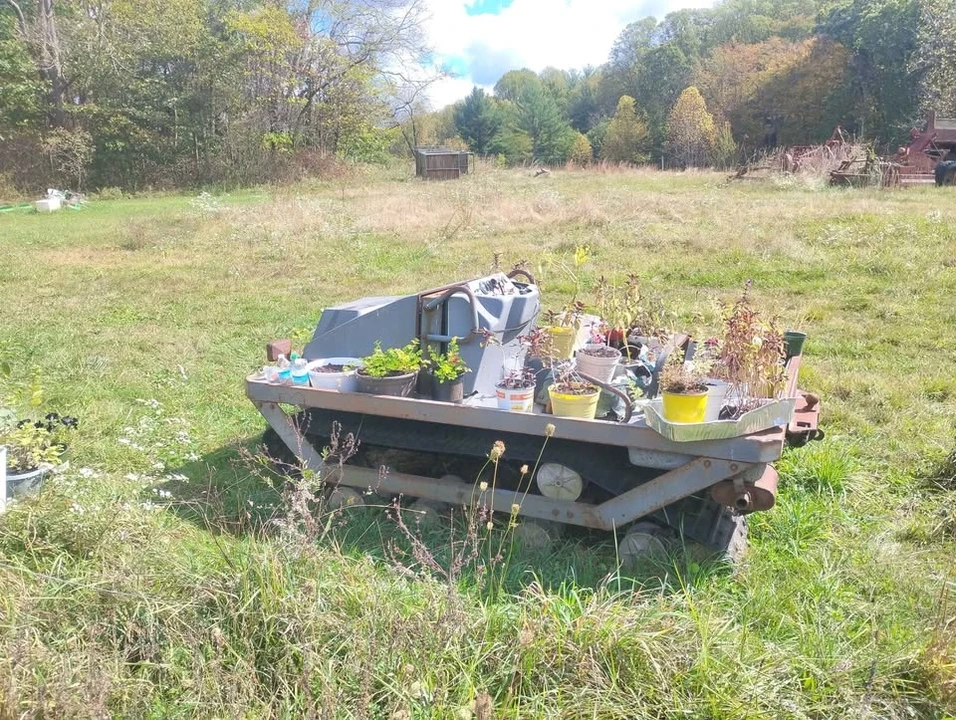 1975 Cushman - Image 2 of 4