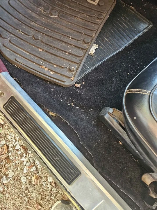 1975 Dodge Charger 4th Gen - Image 12 of 18