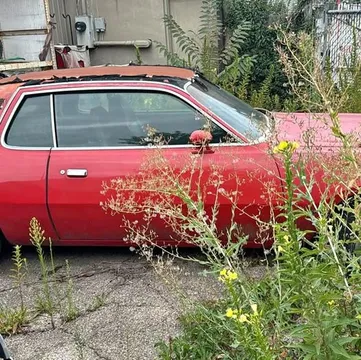1975 Dodge Cornett