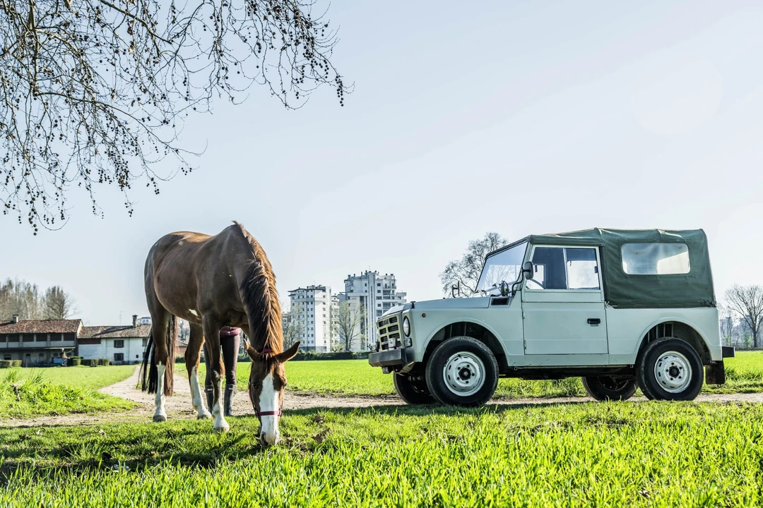 1975 Fiat - Image 2 of 31