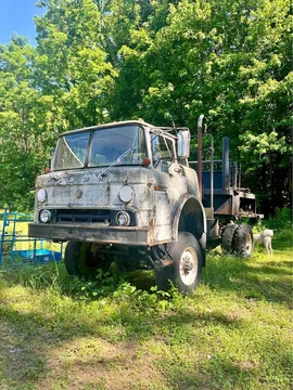 1975 Ford F-900