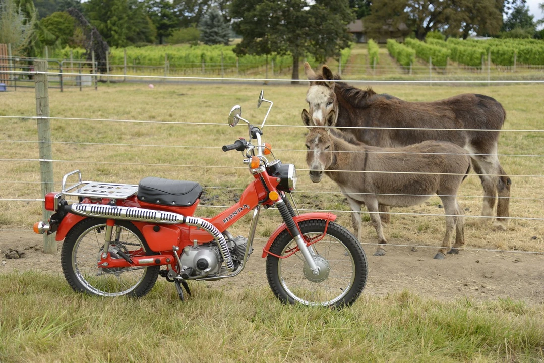 1975 Honda CT90 - Image 10 of 31