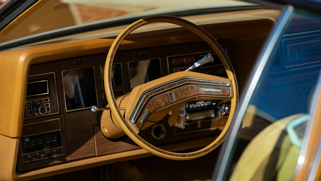 1975 Lincoln Continental Mark IV - Image 10 of 29