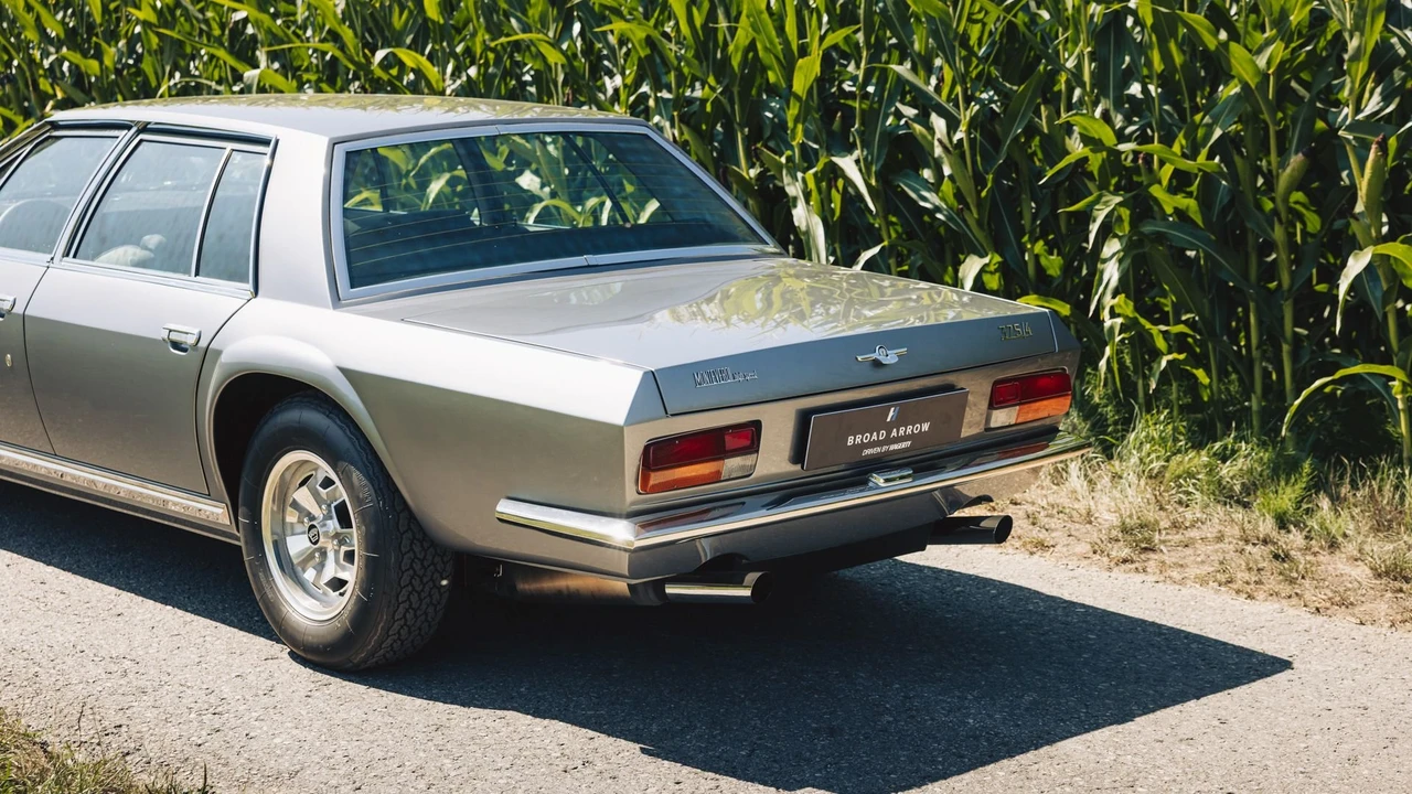 1975 Monteverdi - Image 27 of 31