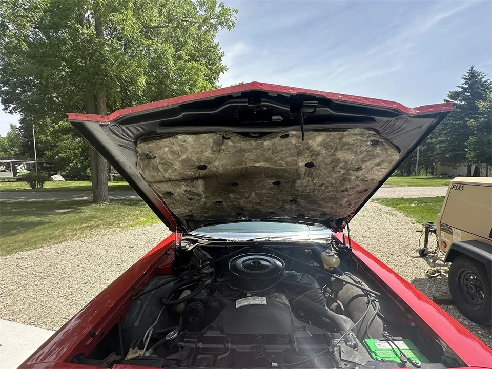 1975 Oldsmobile 88 - Image 30 of 31