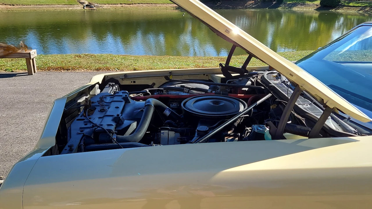 1975 Oldsmobile 88 - Image 7 of 11