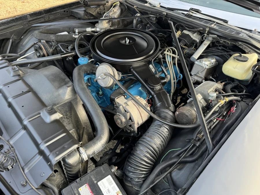 1975 Oldsmobile 88 - Image 10 of 11