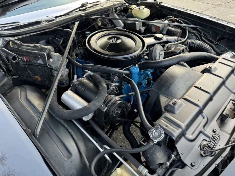 1975 Oldsmobile 88 - Image 9 of 11