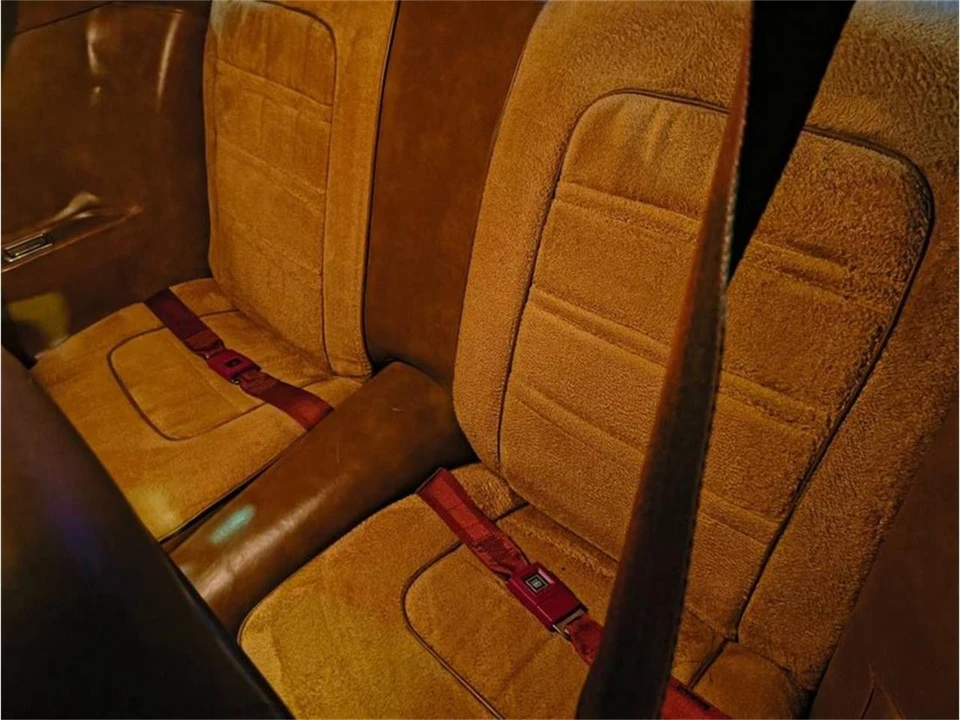 1975 Pontiac Firebird 2nd Gen - Image 6 of 8