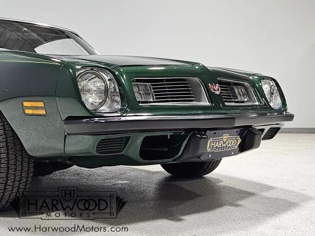 1975 Pontiac Firebird 2nd Gen - Image 19 of 31