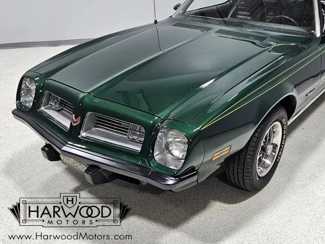 1975 Pontiac Firebird 2nd Gen - Image 14 of 31