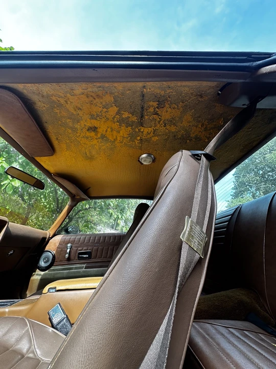 1975 Pontiac Firebird 2nd Gen - Image 13 of 21