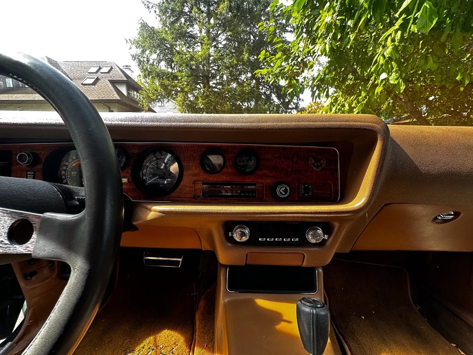 1975 Pontiac Firebird 2nd Gen - Image 10 of 21