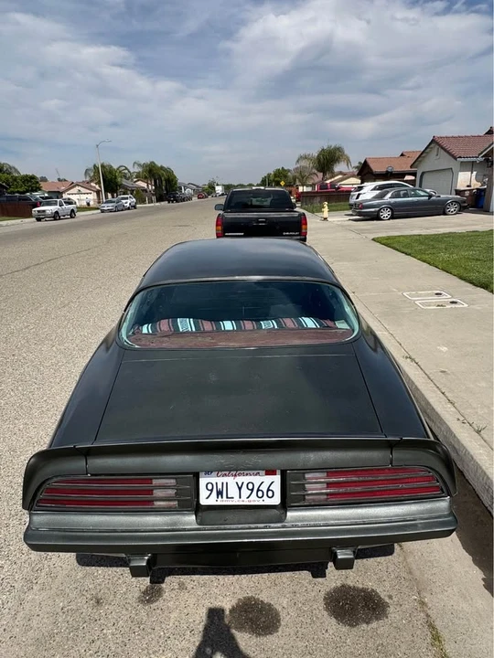 1975 Pontiac Firebird 2nd Gen - Image 6 of 9