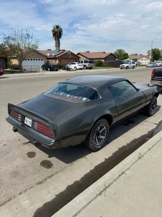 1975 Pontiac Firebird 2nd Gen - Image 4 of 9