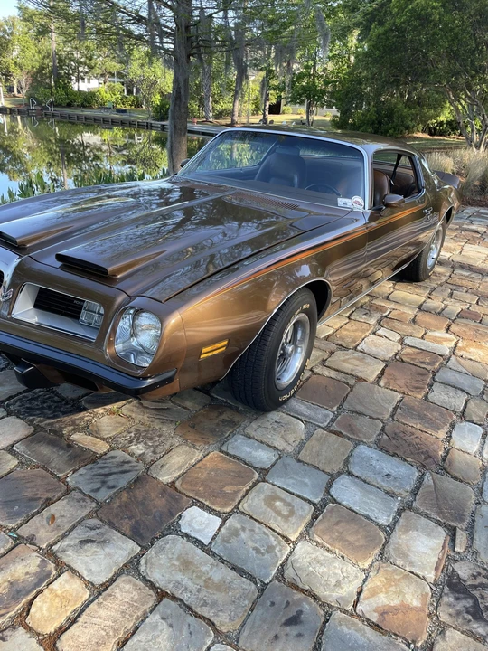 1975 Pontiac Firebird 2nd Gen - Image 14 of 31