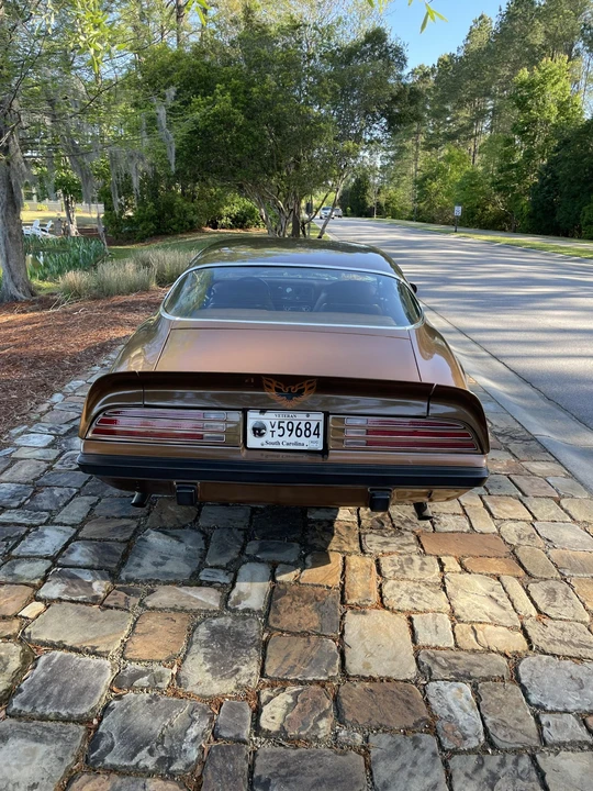 1975 Pontiac Firebird 2nd Gen - Image 23 of 31