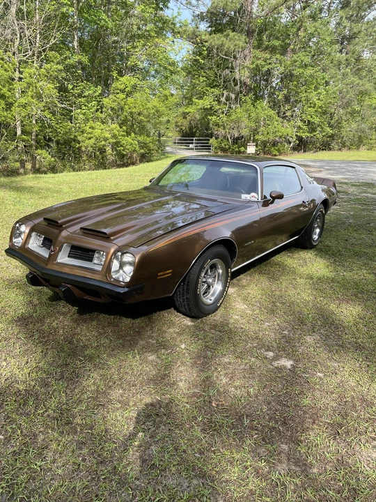 1975 Pontiac Firebird 2nd Gen - Image 3 of 31