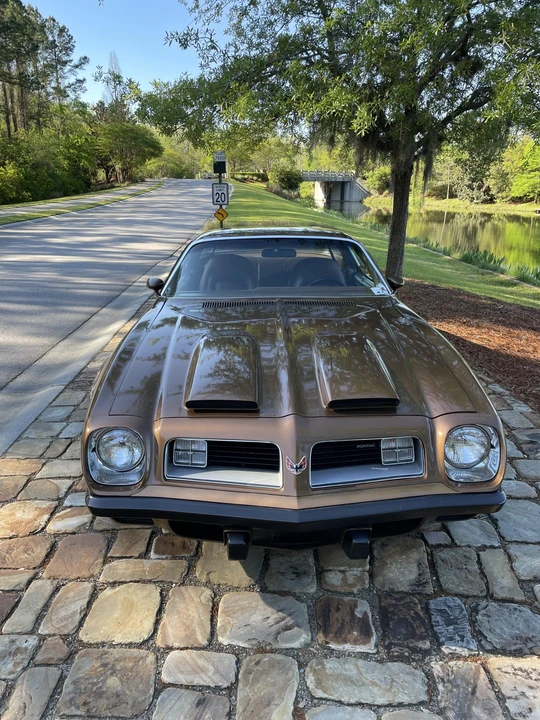 1975 Pontiac Firebird 2nd Gen - Image 15 of 31