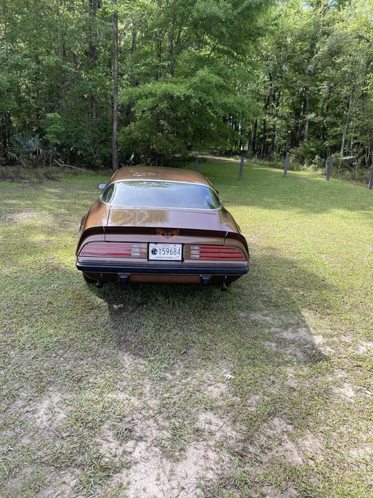 1975 Pontiac Firebird 2nd Gen - Image 11 of 31