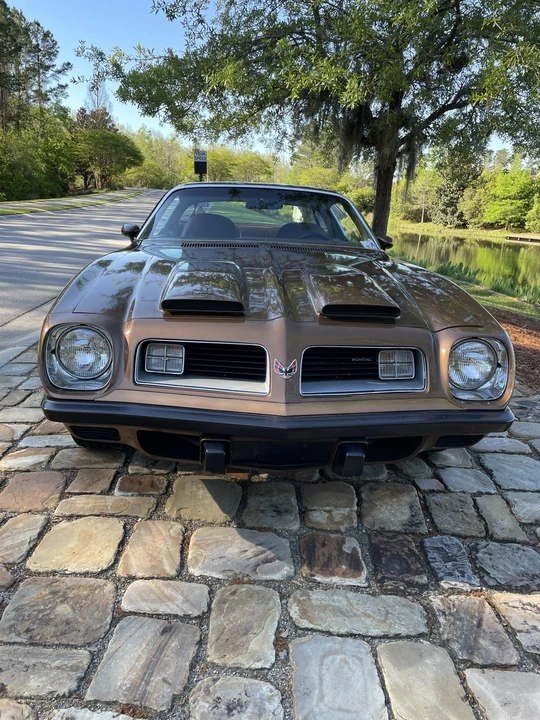 1975 Pontiac Firebird 2nd Gen - Image 16 of 31