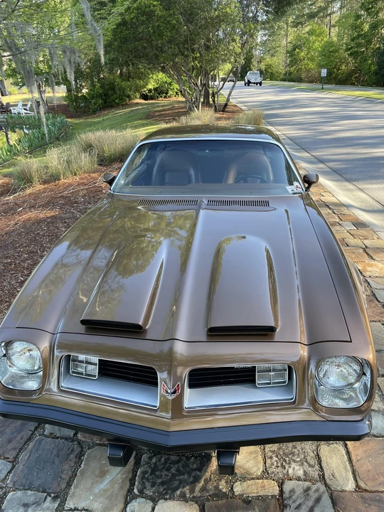 1975 Pontiac Firebird 2nd Gen - Image 17 of 31