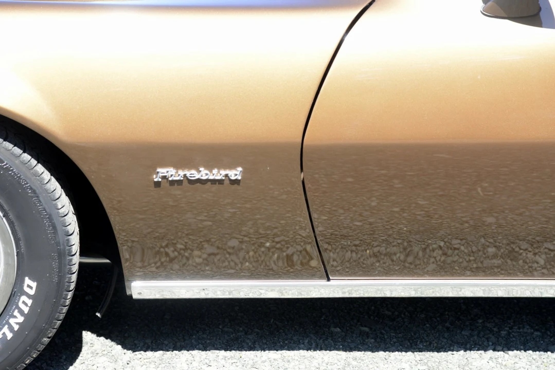 1975 Pontiac Firebird 2nd Gen - Image 19 of 31