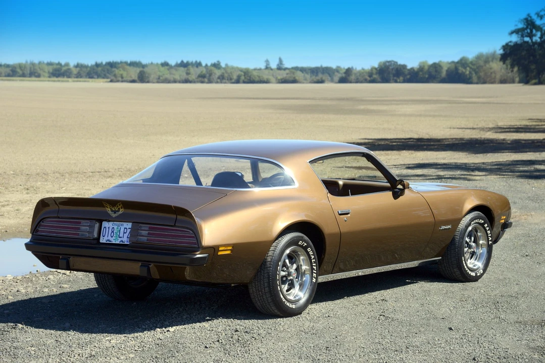 1975 Pontiac Firebird 2nd Gen - Image 9 of 31